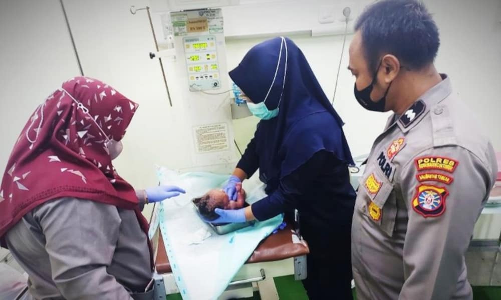 Warga Sampit Temukan Bayi Baru Lahir di Semak-Semak