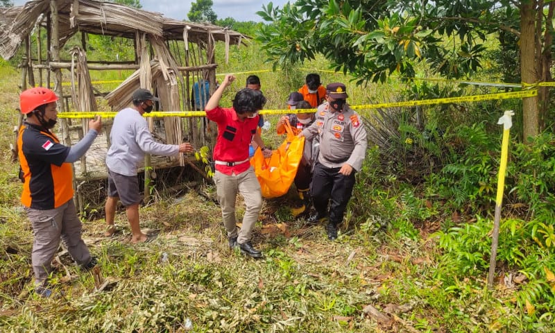 Pergi Ke Kebun, Kakek 71 Tahun Pulang Tak Bernyawa
