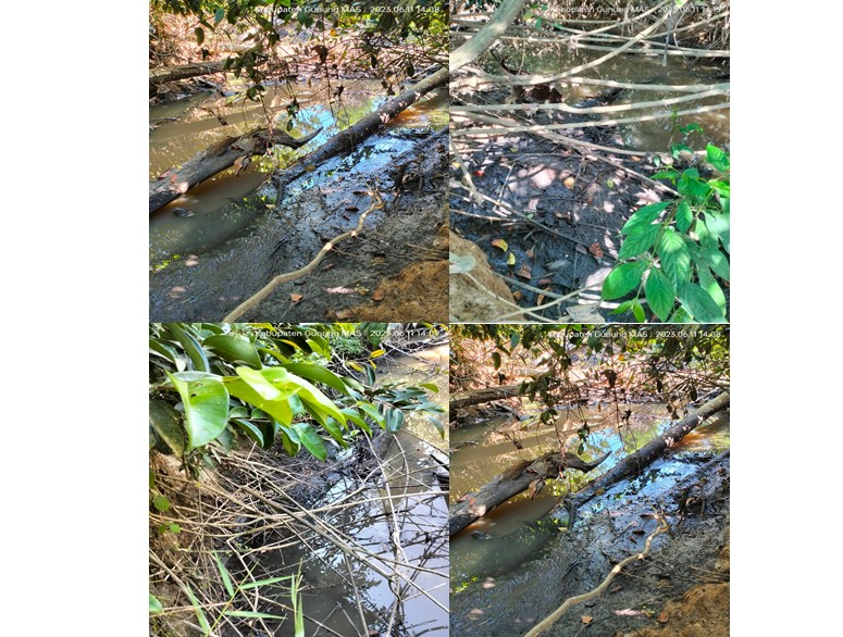 Gakkum KLHK: Penyelidikan Pembuangan Limbah Cair PKS PT BMB Masih Berlanjut