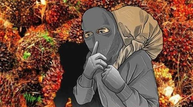 Pencurian TBS Sawit Marak, Apindo Kotim Berharap Aparat Hukum Bertindak Tegas